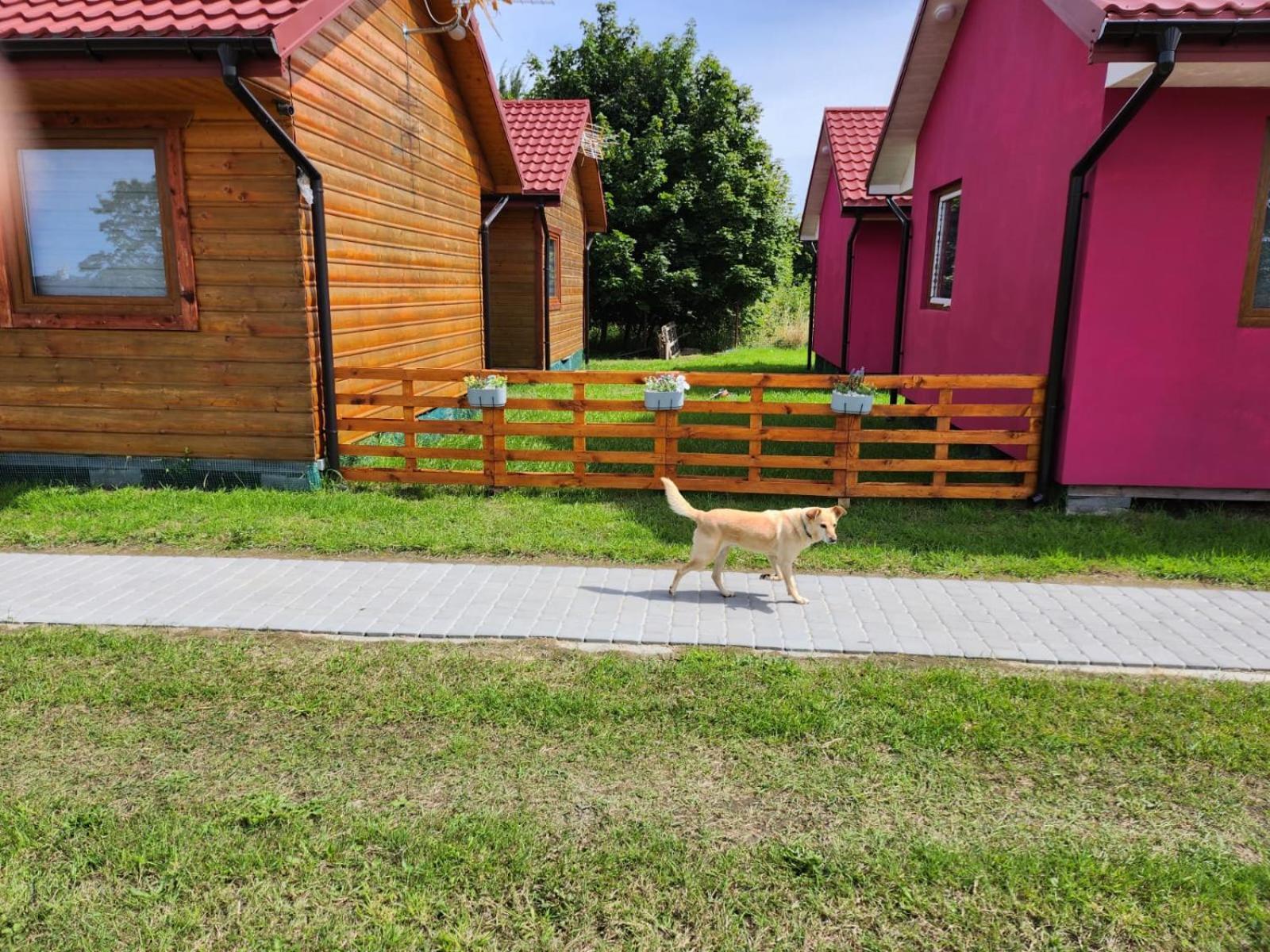 Domki Letniskowe U Zuni Chlopy Luaran gambar